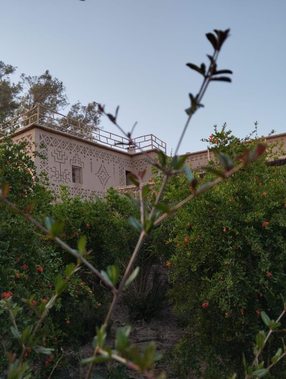 Heritage House Skoura Εξωτερικό φωτογραφία